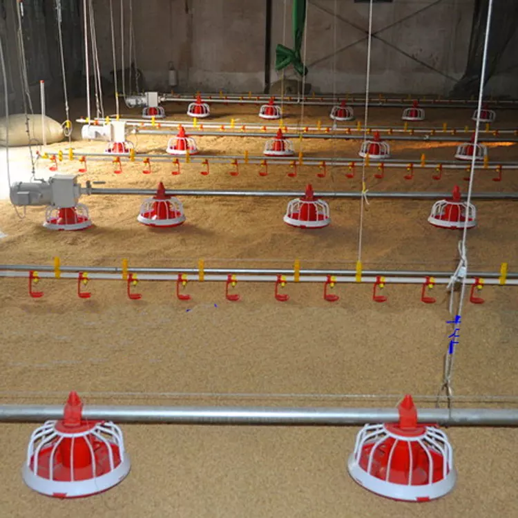 Automatic feeding line