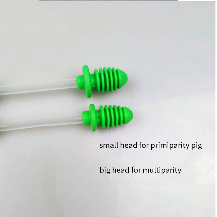 common insemination pipe